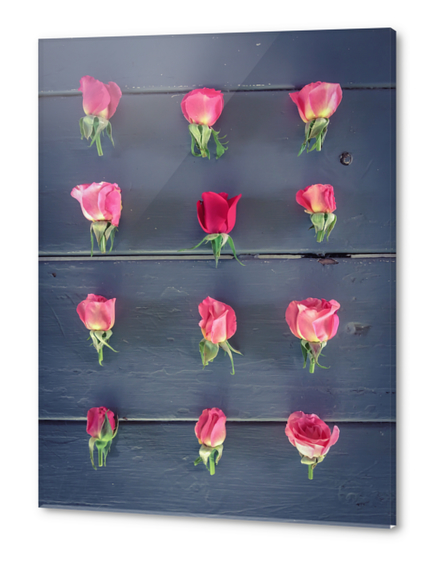 pink roses and red rose on the table Acrylic prints by Timmy333