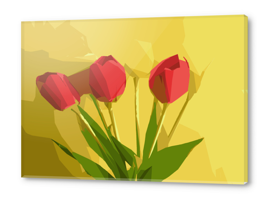 red flowers with green leaves and yellow background Acrylic prints by Timmy333