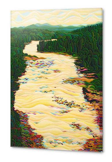 Kakabeca River Dance Acrylic prints by Amy Ferrari Art