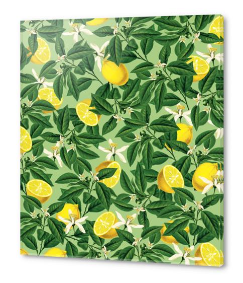 Lemonade V2 Acrylic prints by Uma Gokhale