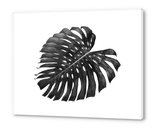 Monstera Acrylic prints by Nika_Akin