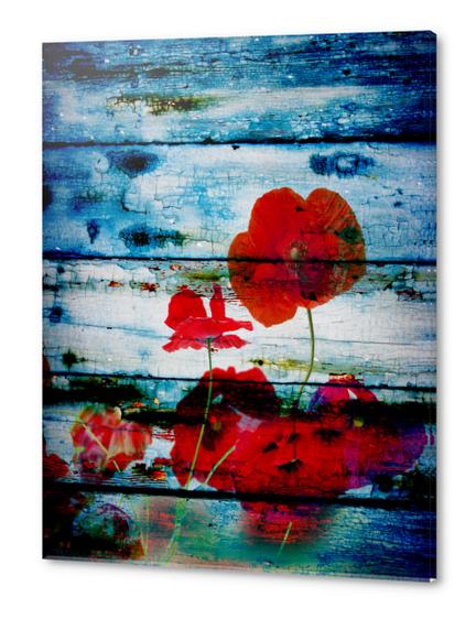 Poppies on blue I. Acrylic prints by Irena Orlov