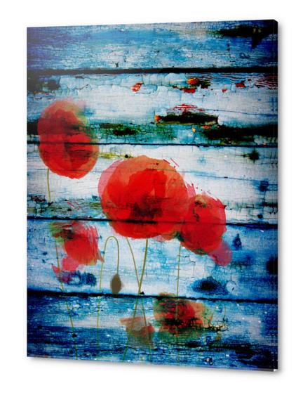 Poppies on Blue II Acrylic prints by Irena Orlov