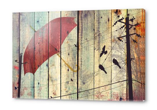 Bird songs Acrylic prints by Irena Orlov