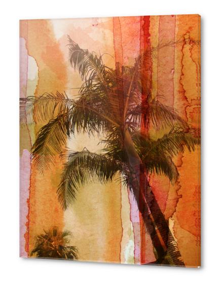 Palm Tree Acrylic prints by Irena Orlov