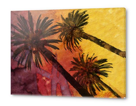 Los Angeles Palms. Acrylic prints by Irena Orlov