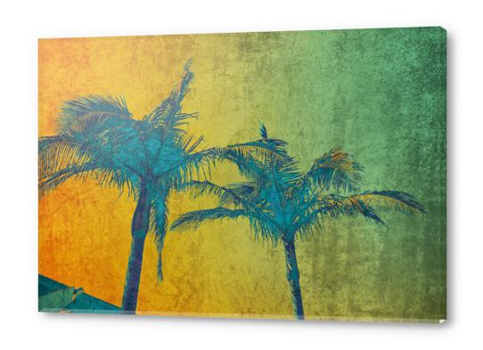 Palm Duet Acrylic prints by Irena Orlov