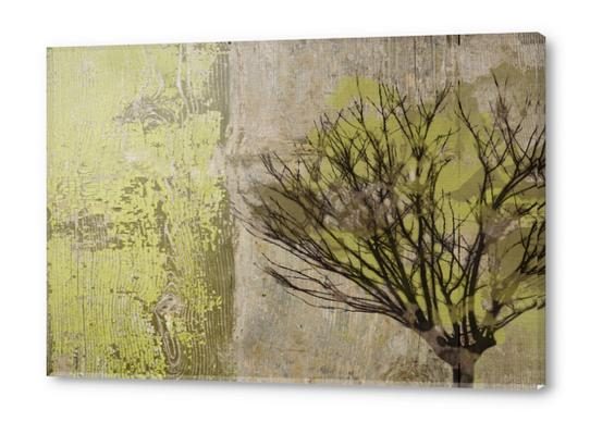 Tree at Twilight Acrylic prints by Irena Orlov