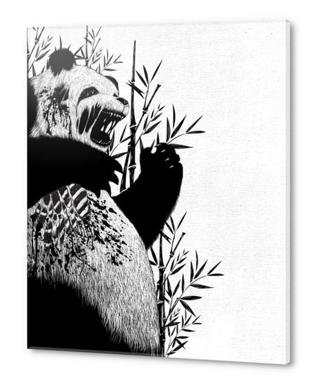 Panda Z Acrylic prints by TenTimesKarma