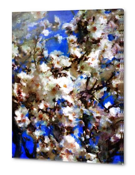 Receiving the spring Acrylic prints by rodric valls