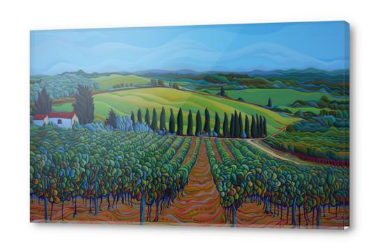 SenTrees of the Grapes Acrylic prints by Amy Ferrari Art