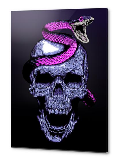 Skull and Snake Acrylic prints by Jordygraph