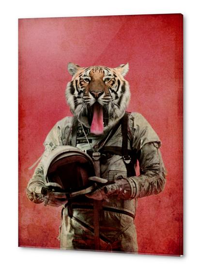 Space tiger Acrylic prints by durro art