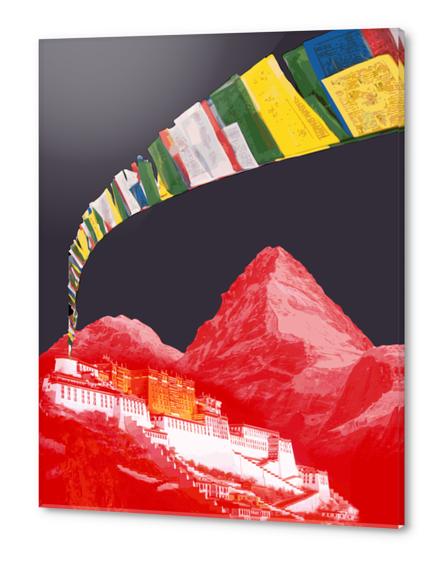 Lhasa Acrylic prints by Vic Storia