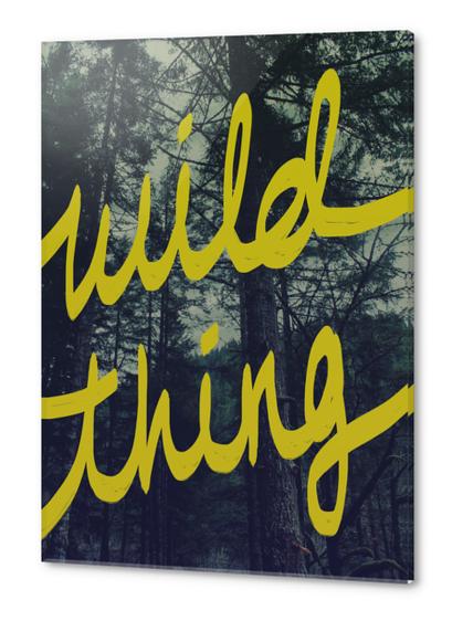 Wild Thing Acrylic prints by Leah Flores