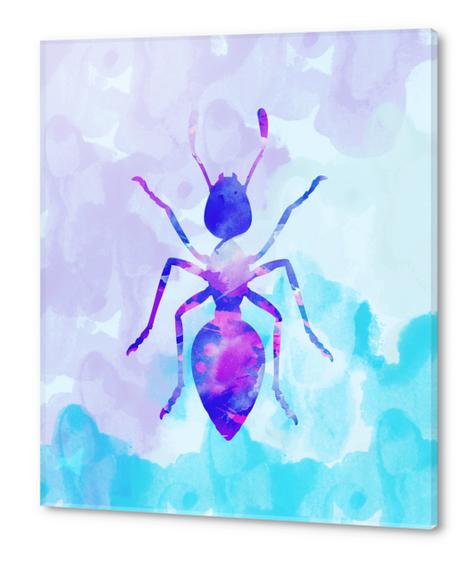 Abstract Ant Acrylic prints by Amir Faysal