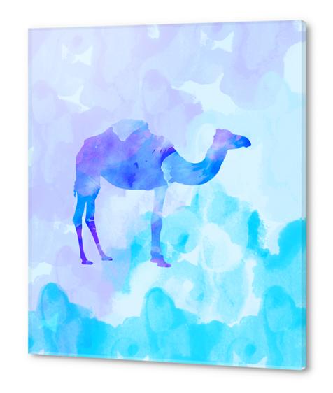 Abstract Camel Acrylic prints by Amir Faysal