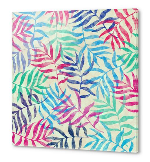 Watercolor Tropical Palm Leaves Acrylic prints by Amir Faysal