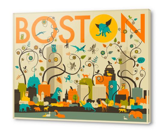 WILD BOSTON Acrylic prints by Jazzberry Blue