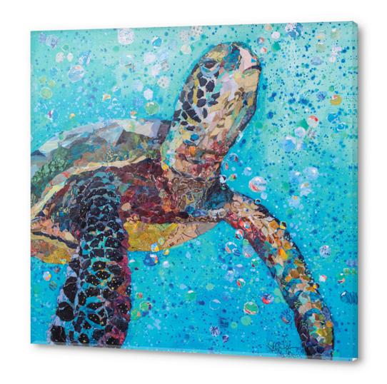 Water Baby Acrylic prints by Elizabeth St. Hilaire
