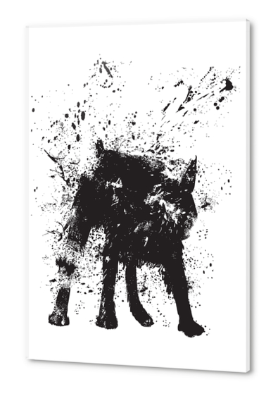 Wet dog Acrylic prints by Balazs Solti