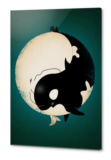 When Willy meets Moby Acrylic prints by dEMOnyo