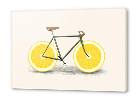 Zest Acrylic prints by Florent Bodart - Speakerine