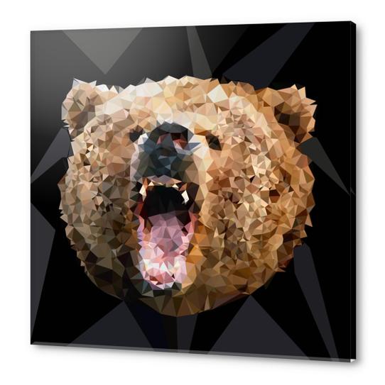 Angry Bear Acrylic prints by Vic Storia