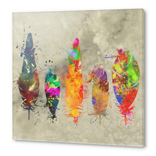 Painted feathers Acrylic prints by Alexandre Ibáñez