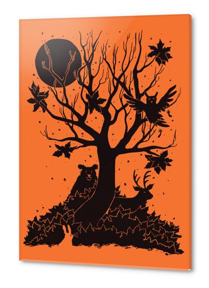 Autumn Forest Acrylic prints by Tobias Fonseca