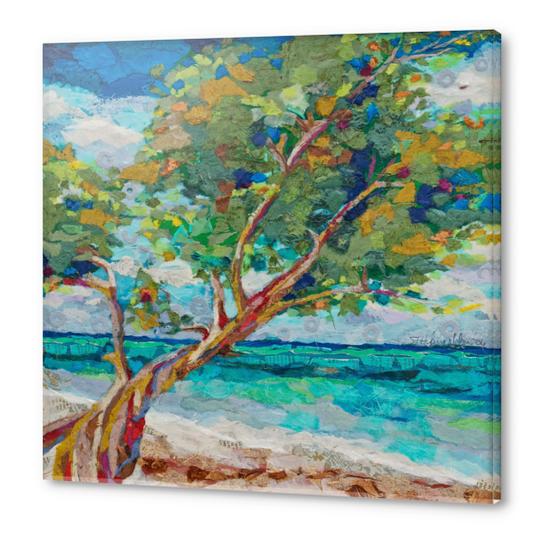 Beach Tree II Acrylic prints by Elizabeth St. Hilaire