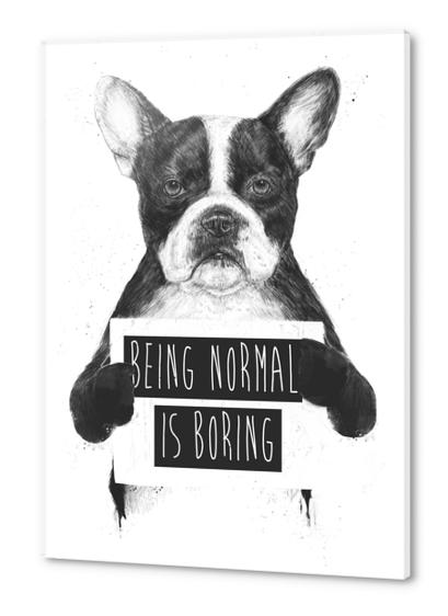 Being normal is boring Acrylic prints by Balazs Solti