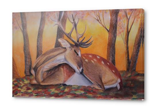 Autumnal deer Acrylic prints by GiuliaLauren
