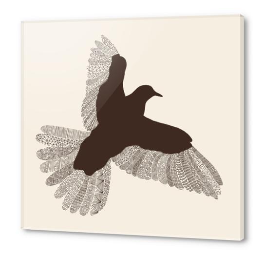 Bird (on beige) Acrylic prints by Florent Bodart - Speakerine