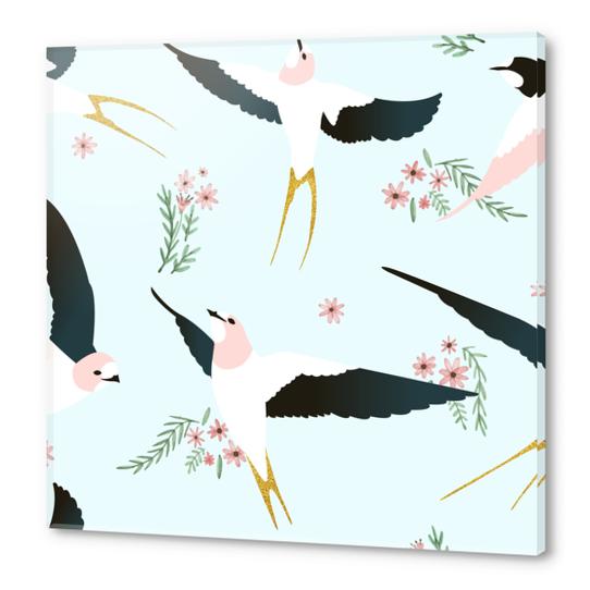 Birds Acrylic prints by Uma Gokhale