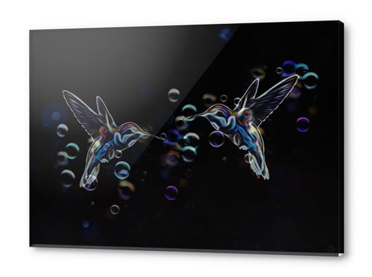 Hummingbirds Acrylic prints by Seamless