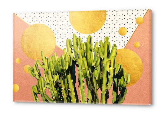 Cactus Dream Acrylic prints by Uma Gokhale