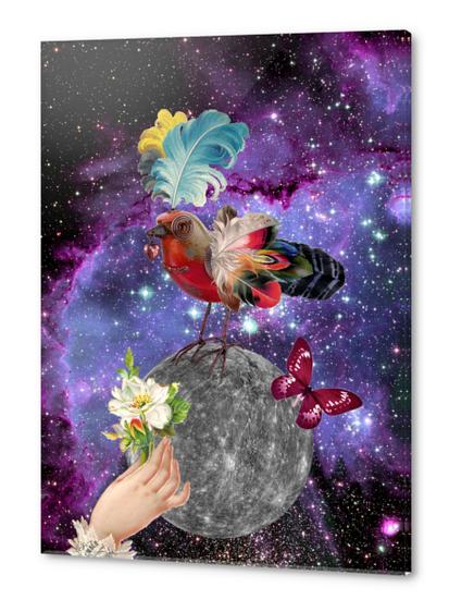 STEAMPUNK BIRD Acrylic prints by GloriaSanchez