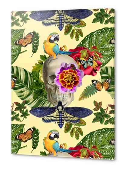 TROPICAL SKULL Acrylic prints by GloriaSanchez