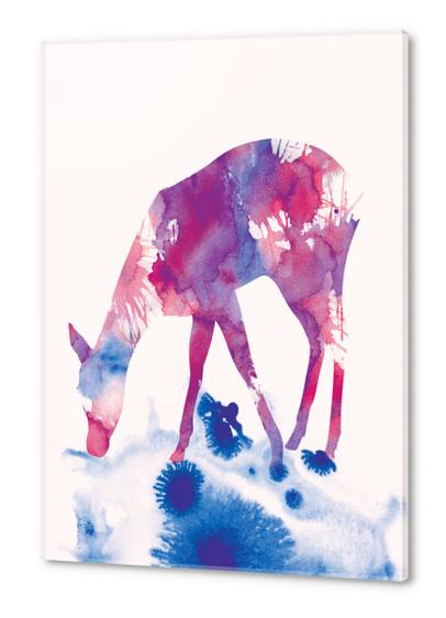 Fawn Acrylic prints by Andreas Lie