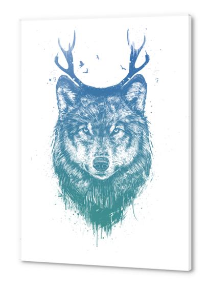 Deer wolf Acrylic prints by Balazs Solti