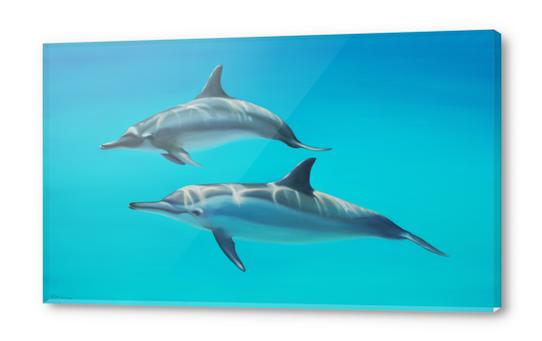 Dolphins Acrylic prints by di-tommaso