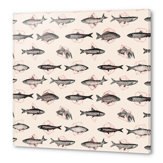 Fishes Repeat Acrylic prints by Florent Bodart - Speakerine