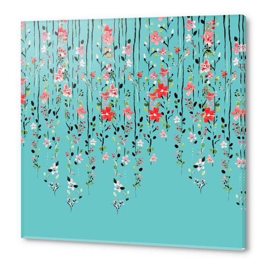 Floral Dilemma Acrylic prints by Uma Gokhale