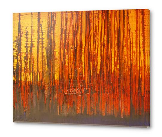 Forest Acrylic prints by di-tommaso