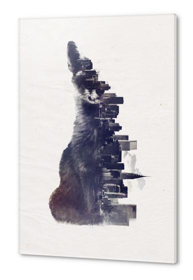 Fox from the city Acrylic prints by Robert Farkas