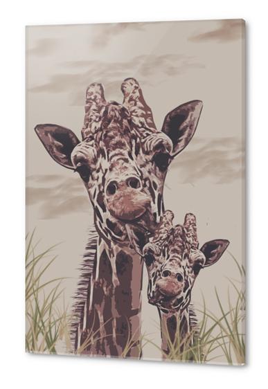 Giraffe Acrylic prints by Galen Valle