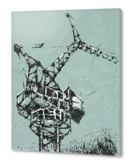 Crane Acrylic prints by Georgio Fabrello