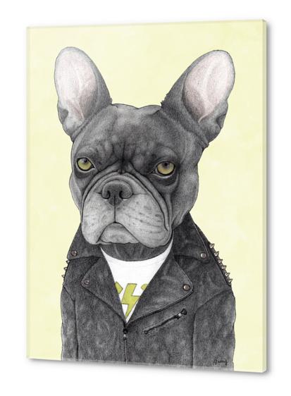 Hard Rock French Bulldog Acrylic prints by Barruf