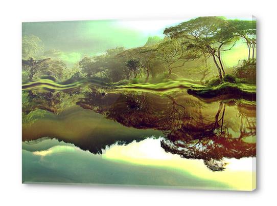 wobbly jungle Acrylic prints by vividvivi